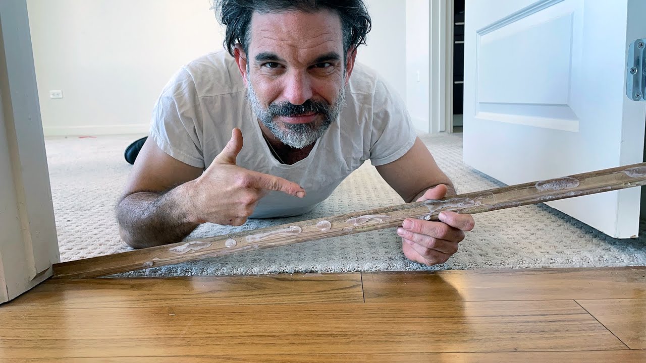 How to Install a Transition Strip from Wood to Carpet