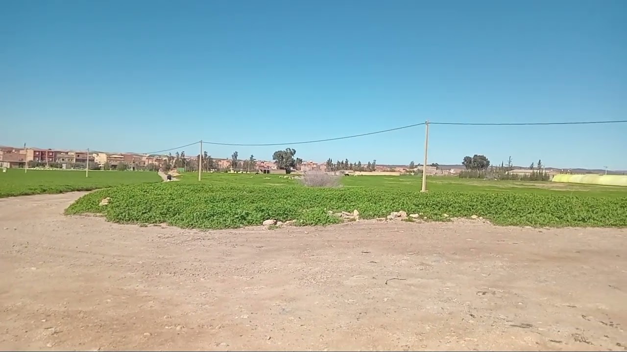 هدوء الريف بين الخضرة والسماء