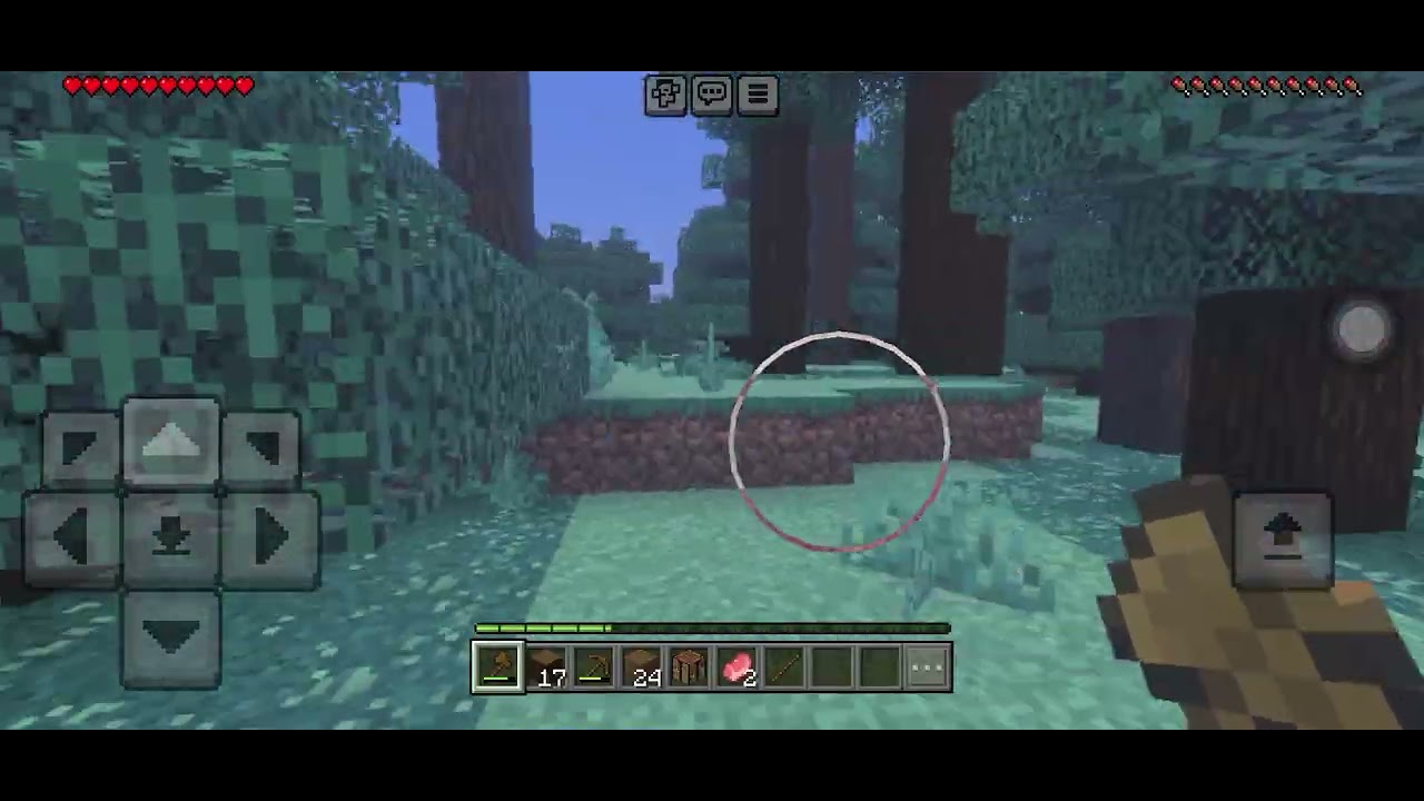 Jugando Minecraft 