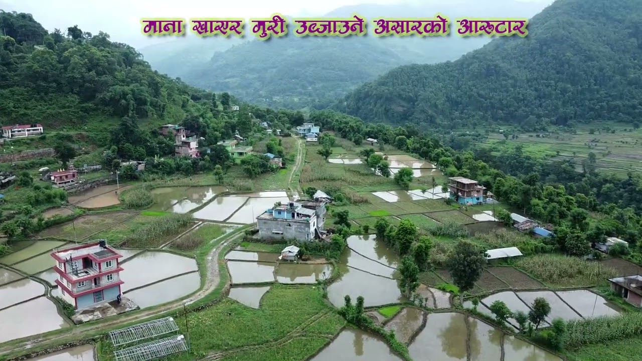 Aarutar Gorkha