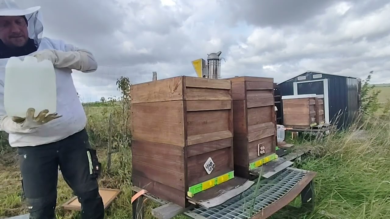 Bienen im September - Gewichtsermittlung und finales einfüttern