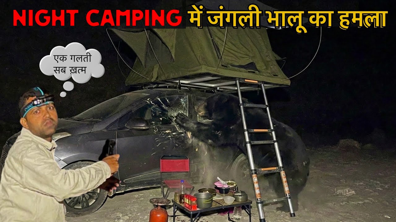Night Camping में जंगली भालू का हमला In Dangerous Forest Animal Attack Solo Jungle CampingVideoHindi