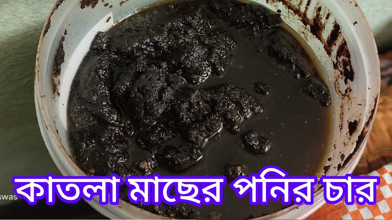 কাতলা মাছের পনির চার//Poneer Charai For Katla Fish Full processing//@mechobiral-f6r