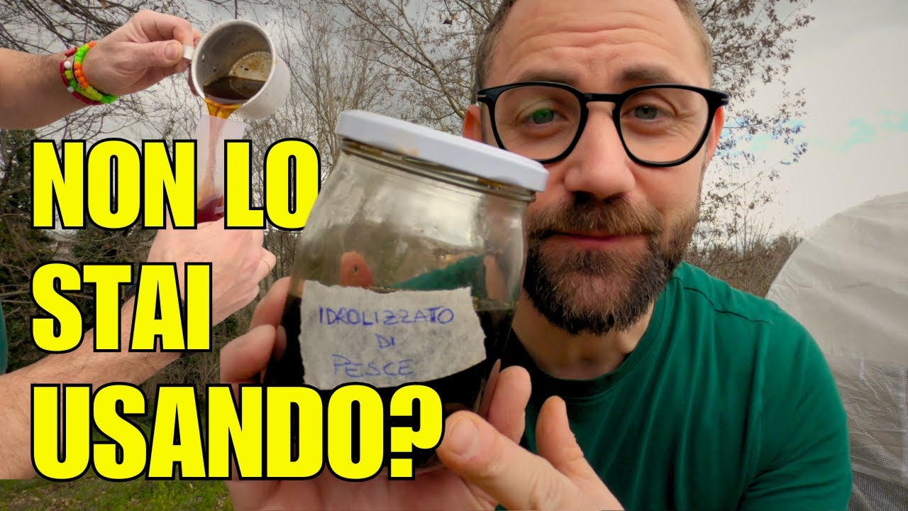 IDROLIZZATO DI PESCE: Il SUPER FERTILIZZANTE NATURALE che FAVORISCE i FUNGHI