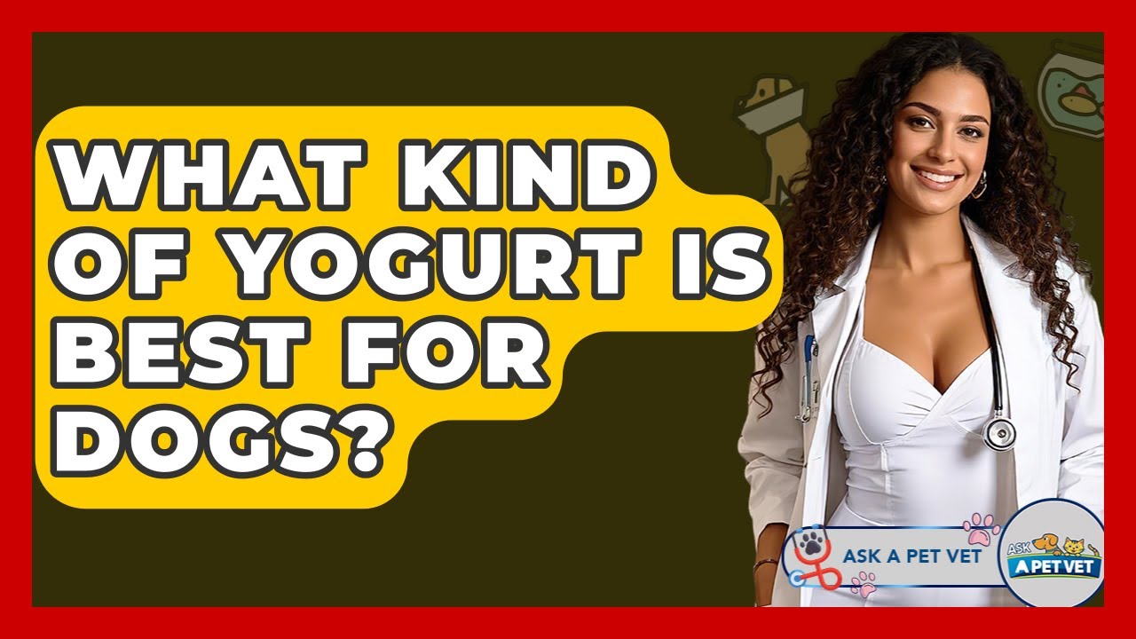What Kind Of Yogurt Is Best For Dogs? - Ask A Pet Vet