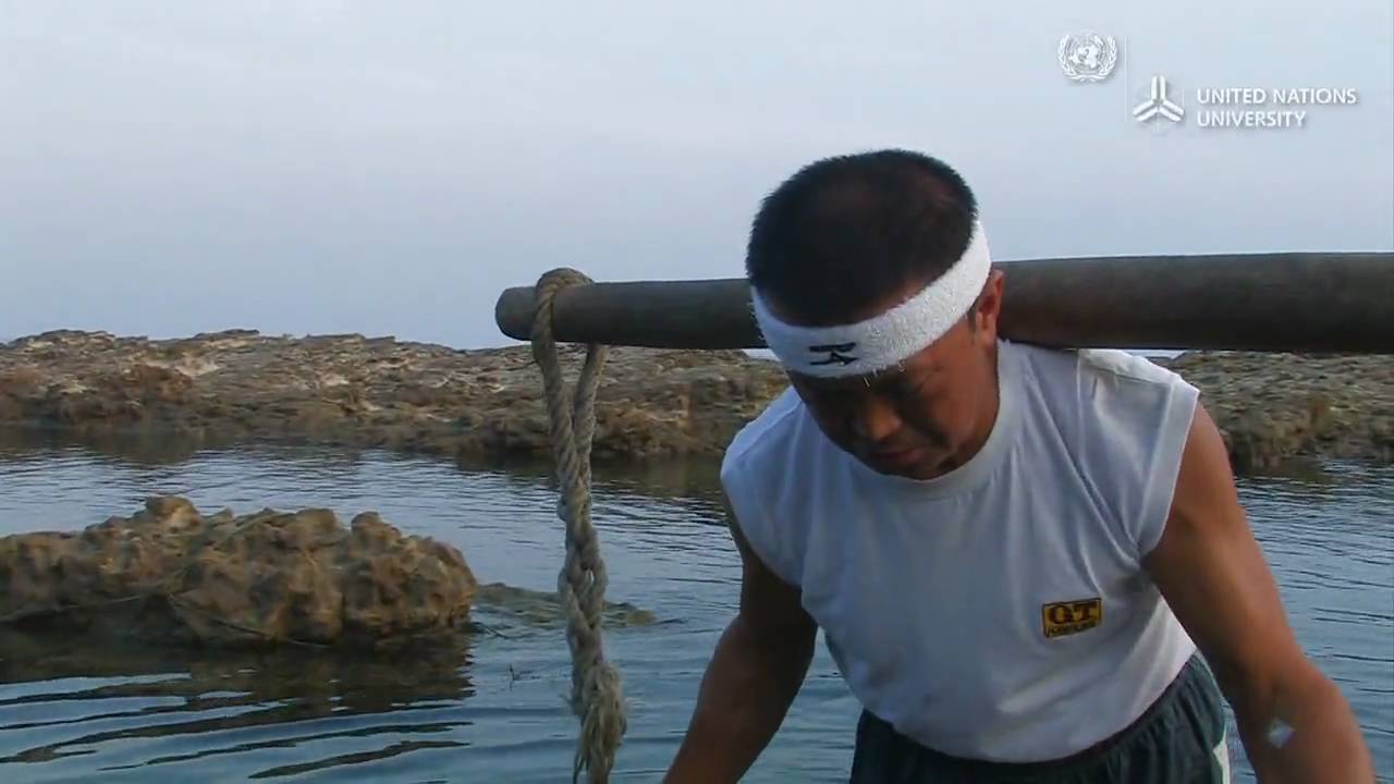 Salt of life - Traditional knowledge and wisdom of satoumi