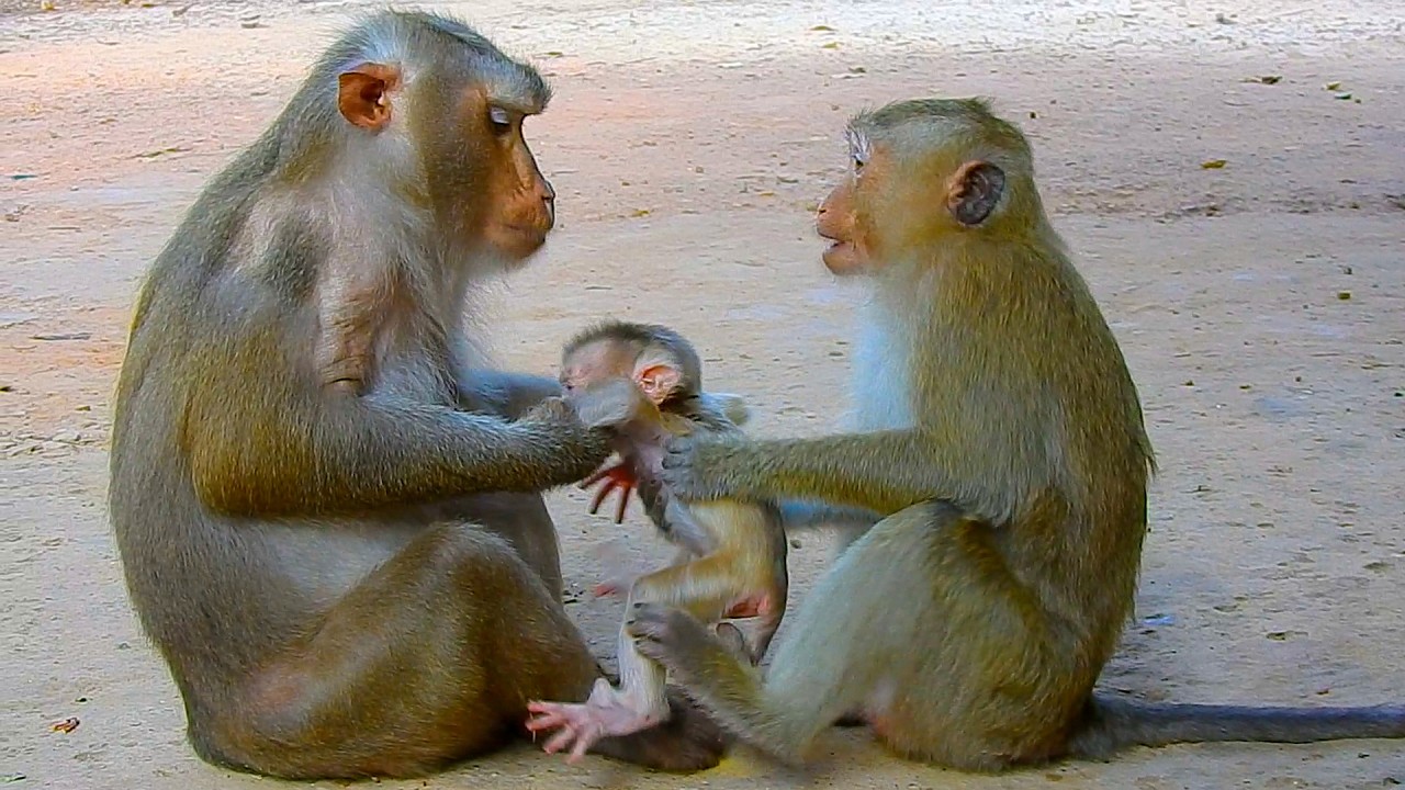 Rainbow wanted to help her mum take care of her younger Sis but Libby doesn't seem to trust Rainbow