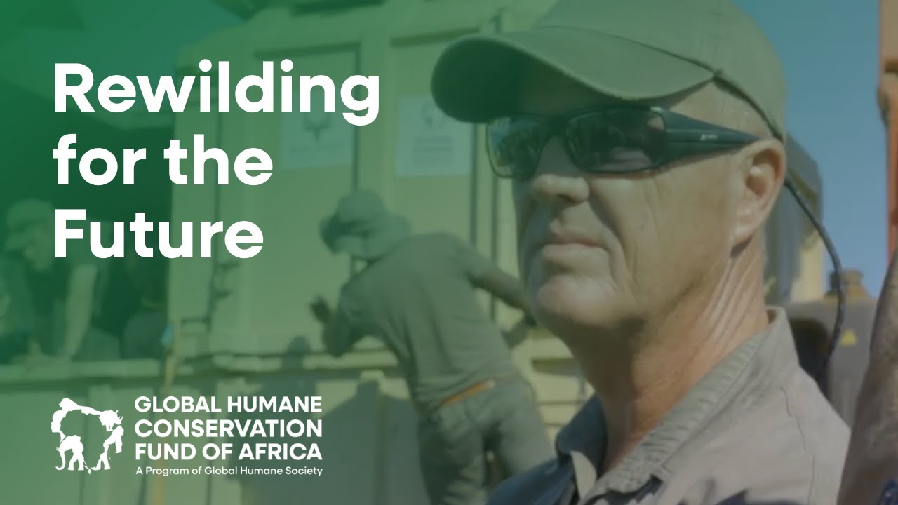Peter Chadwick on Rewilding Kabouga and a Long-Term Vision for Conservation