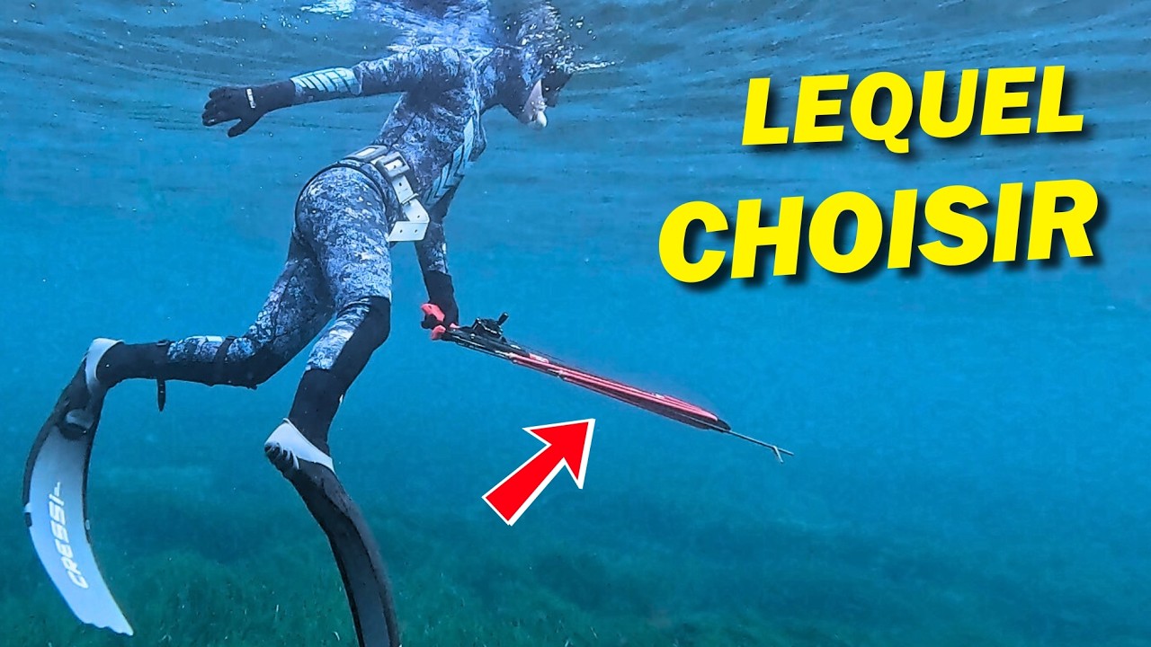Découvre le harpon PARFAIT pour Débuter la chasse sous marine !