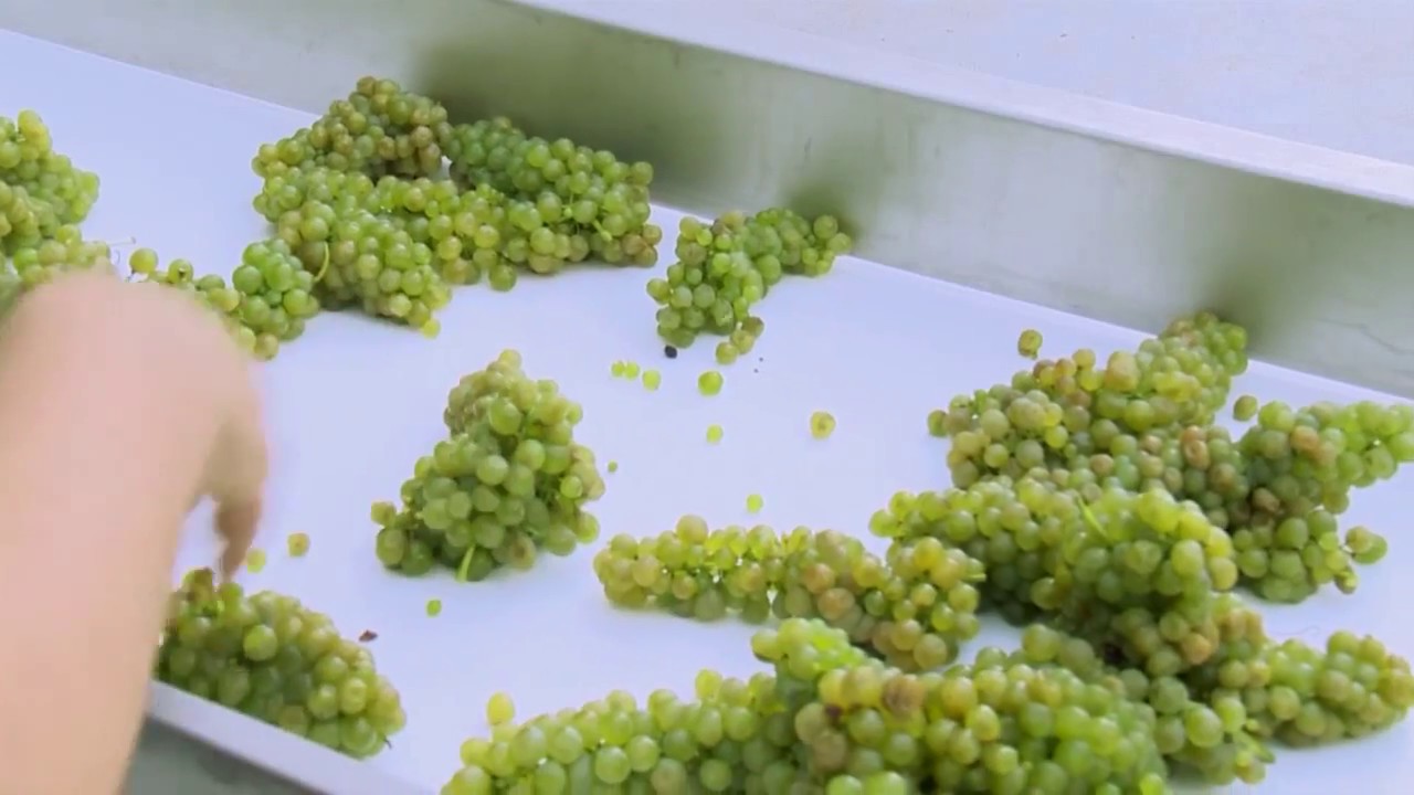 SAVALAN ŞƏRAB TURU - Savalan Wine Tour