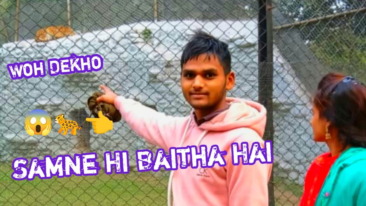 Chandigarh Zoo Park 😱🦁 | Itne Saare Janwar Ek Jagah! #youtubeshorts 