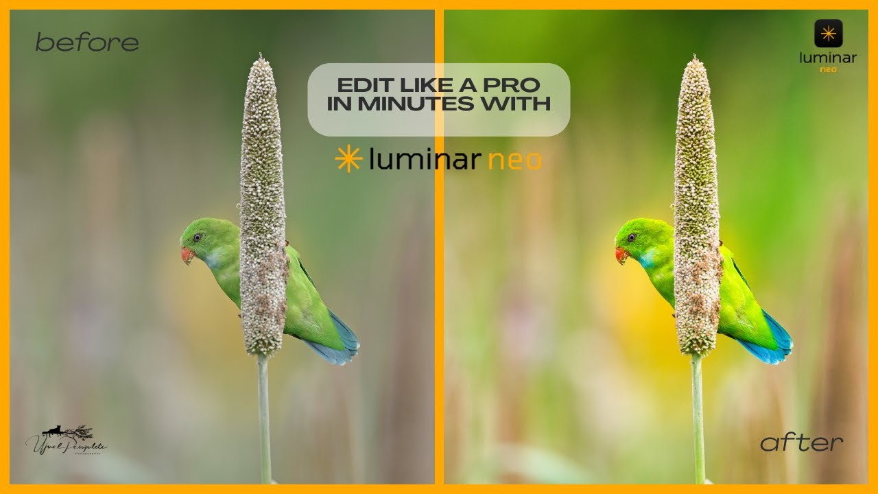 YOU DON'T NEED TO BE PRO TO EDIT THIS. Easy editing tips in Luminar Neo #luminarneo #hollyland