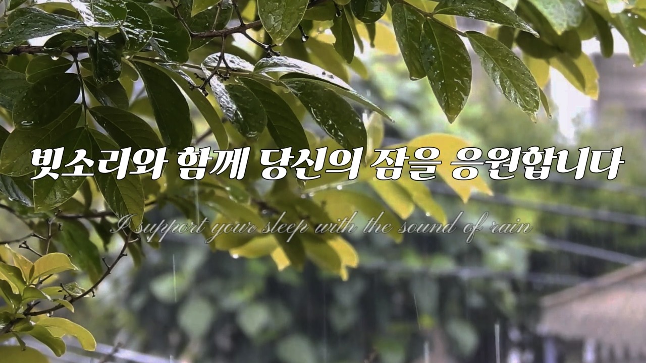 불면증 즉시 탈출 7시간 빗소리 (10분 후 암전) 꿀잠 백색소음 | 7H Deep Sleep Rain
