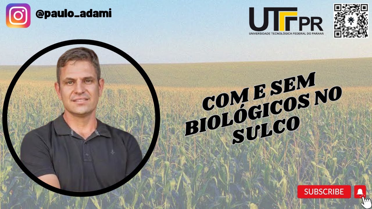 Brady + Azospirillum na soja