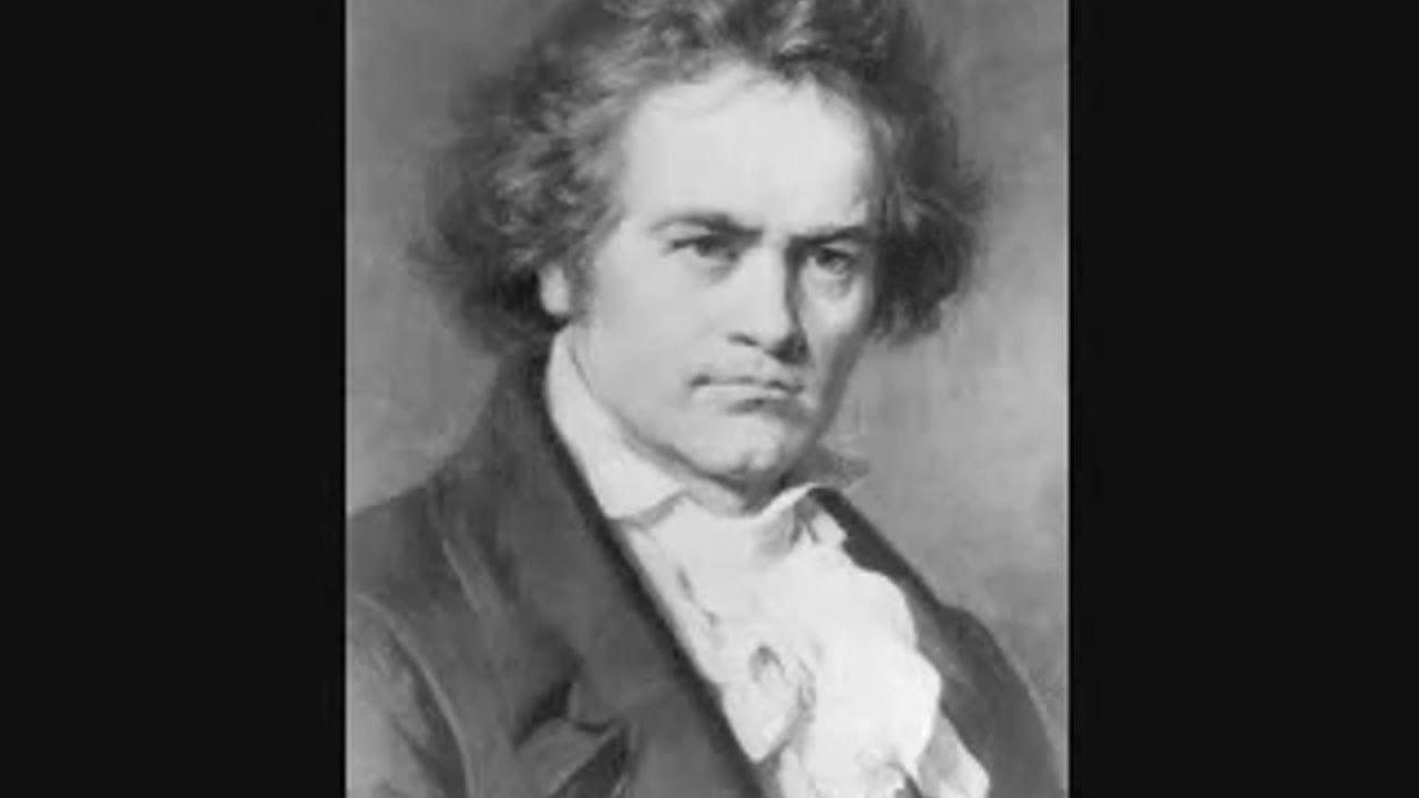 BEETHOVEN turkish march the elephants never forget