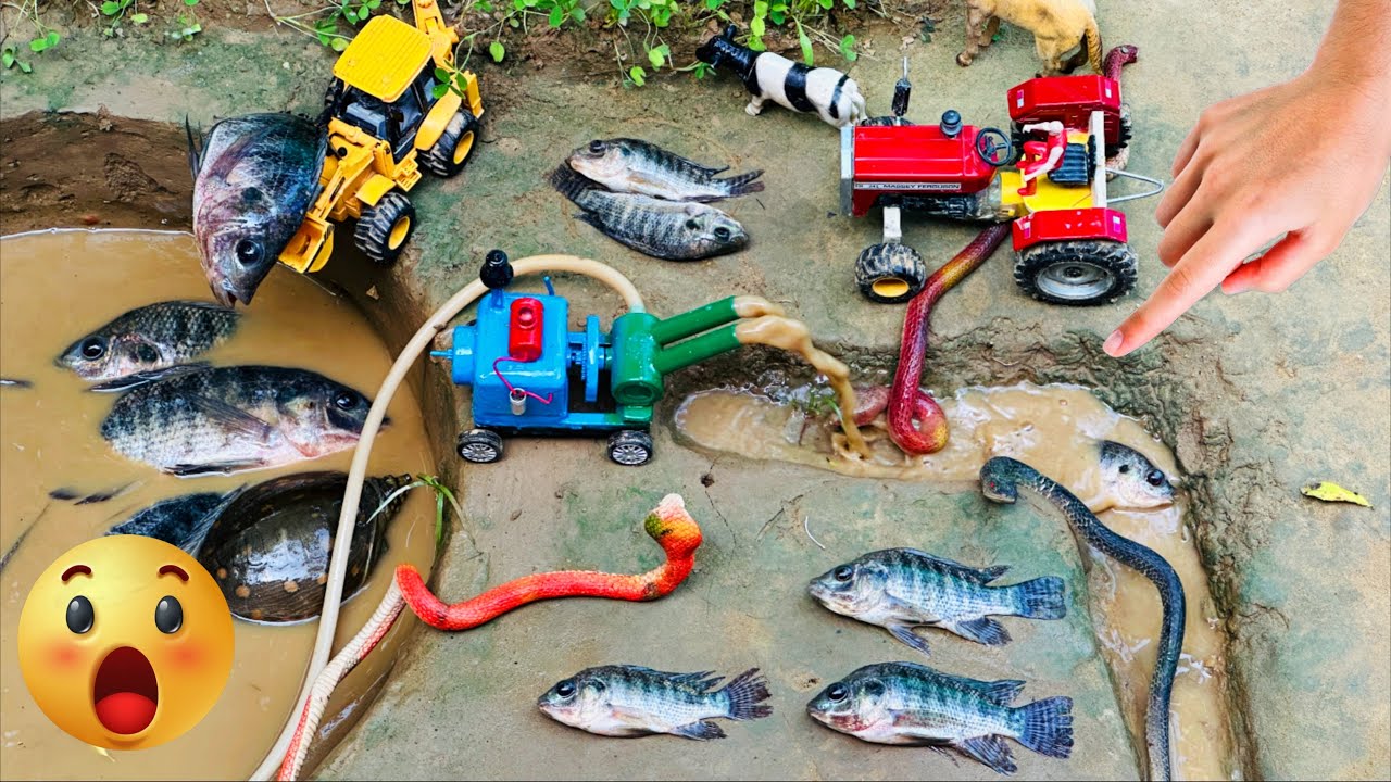 Catch fish using mini water pump | fishing exciting | diy tractor |@Mini Fish Creator