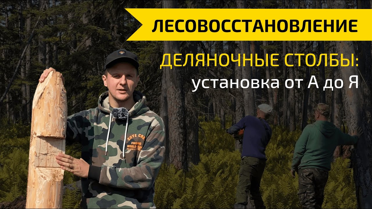 ДЕЛЯНОЧНЫЕ СТОЛБЫ ПО ГОСТ: параметры, надписи и установка