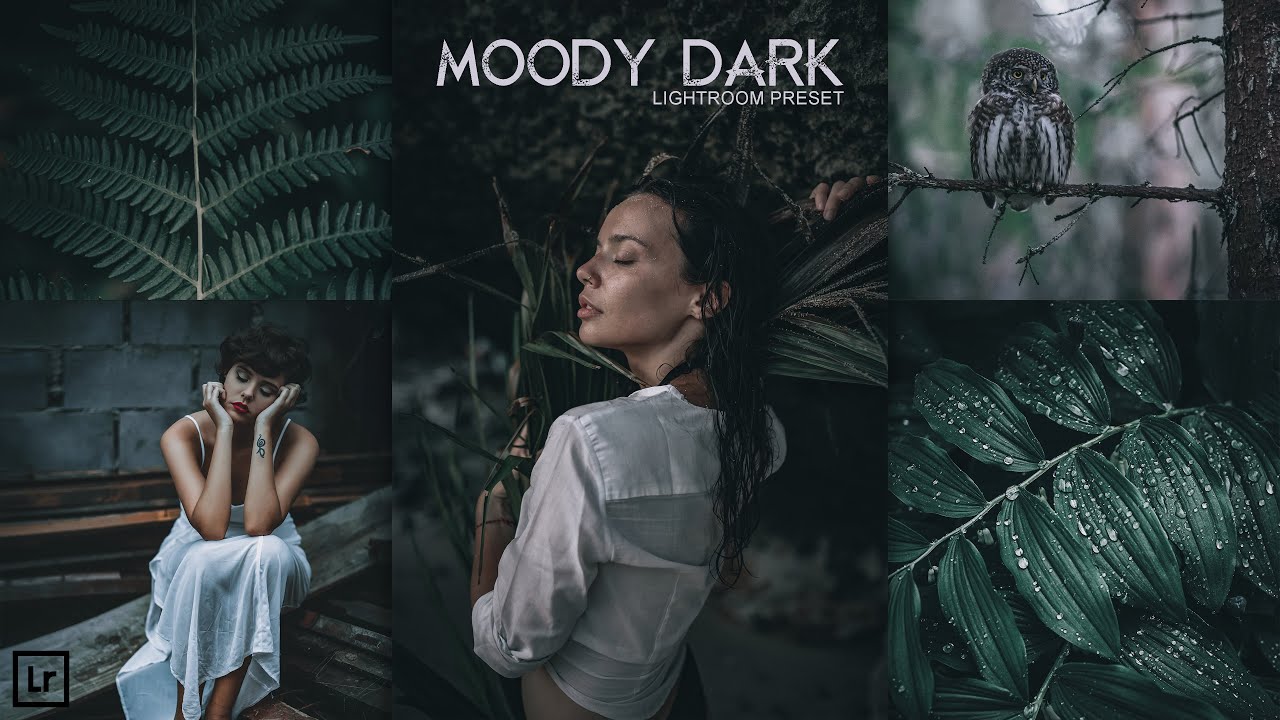 Moody DARK Preset - Lightroom Dark Presets | Black Presets | Dark Presets | Moody Presets