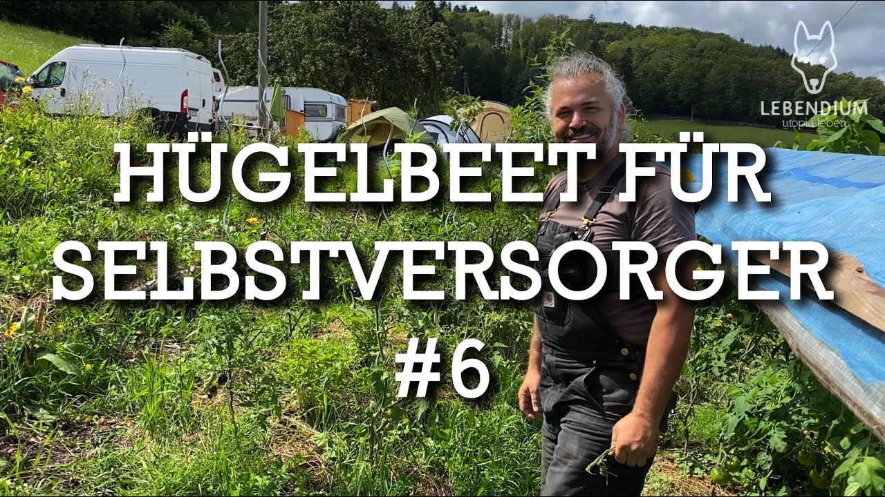 LEBENDIUM - Hügelbeet für Selbstversorger #6 - Entwicklung und Erfahrungen