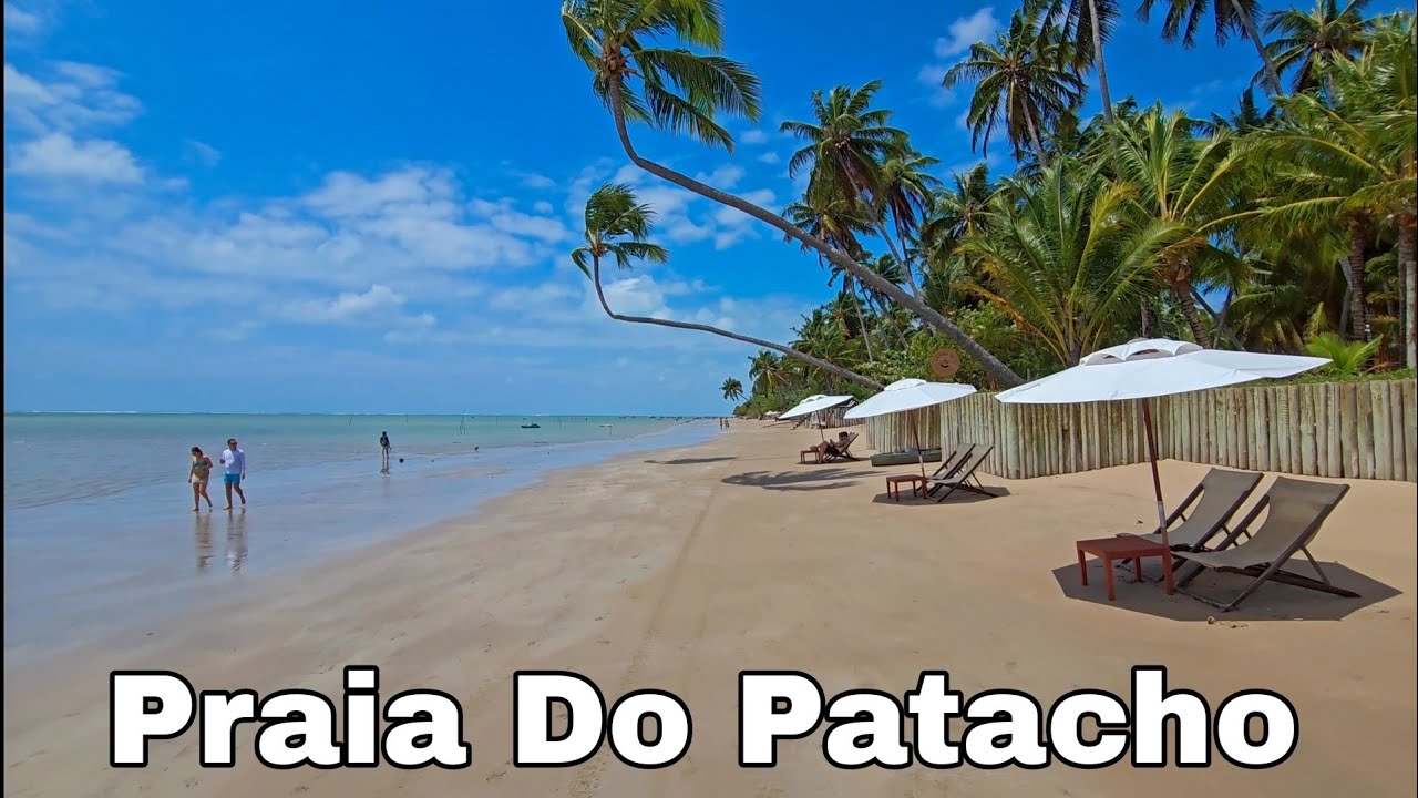 Praia Do Patacho Porto De Pedras Alagoas