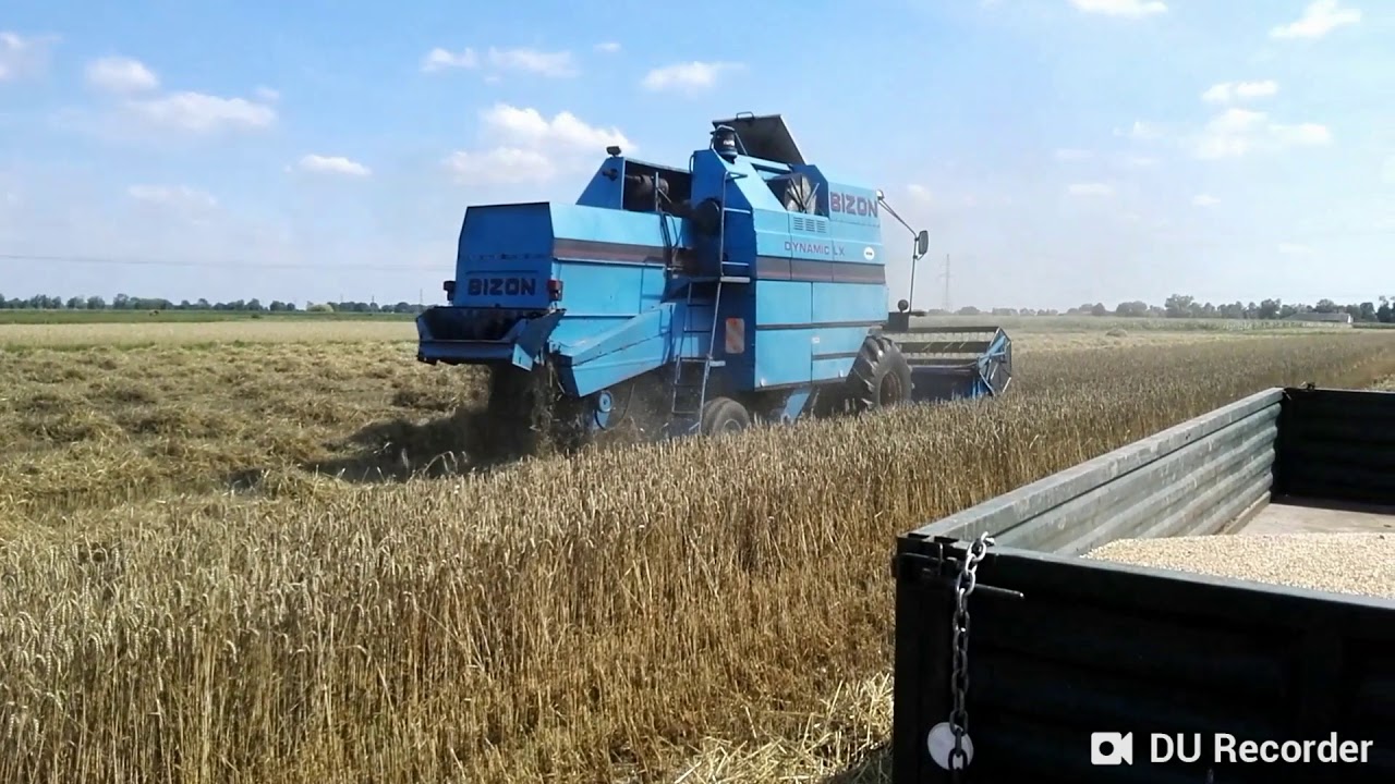 Żniwa 2018 BIZON DYNAMIC LX ZETOR PROXIMA100 Masey Ferguson-255