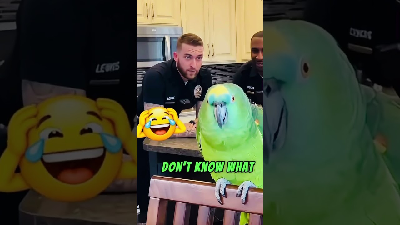 Parrot 🦜 exposed the Cop👮wife in Public in this funny 🤣 video #viral #funny #trending #laugh #fyp