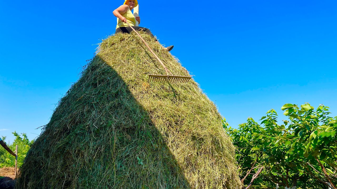 Summer on a Ukrainian Homestead:🌻Stacking Hay and Garden Work.