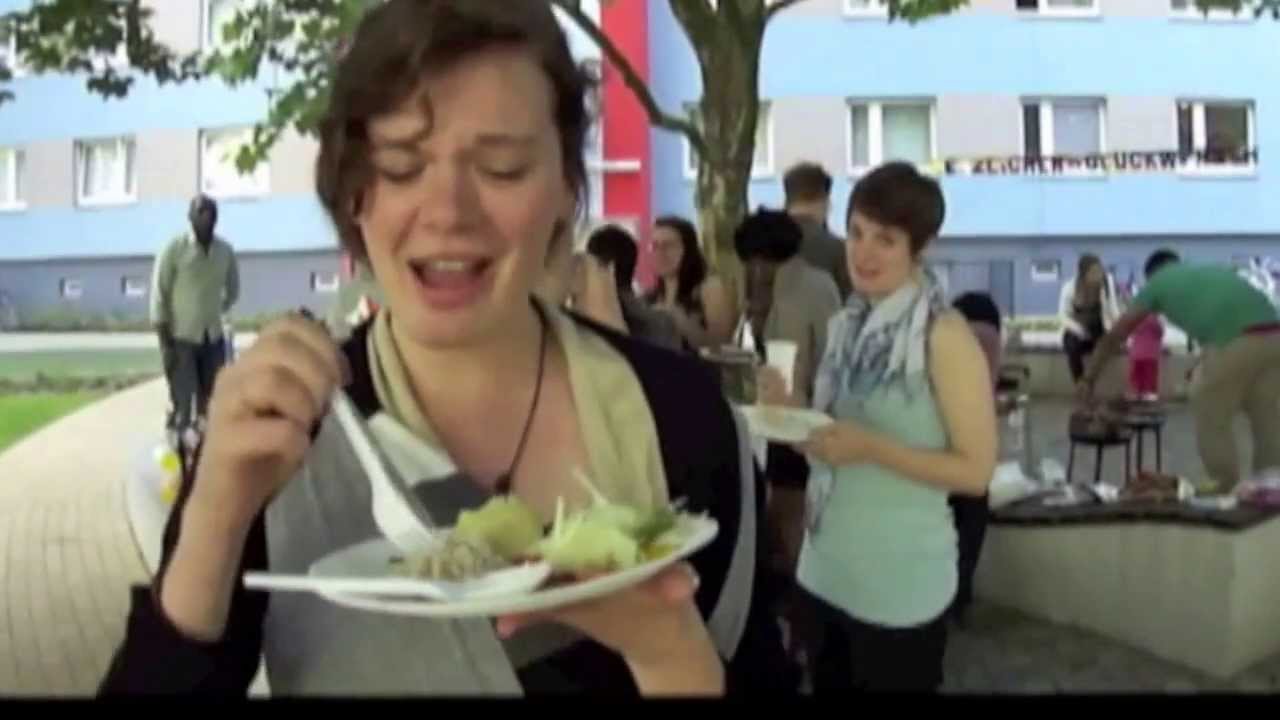 Brandenburg University of Technology - Cottbus (Student interviews)