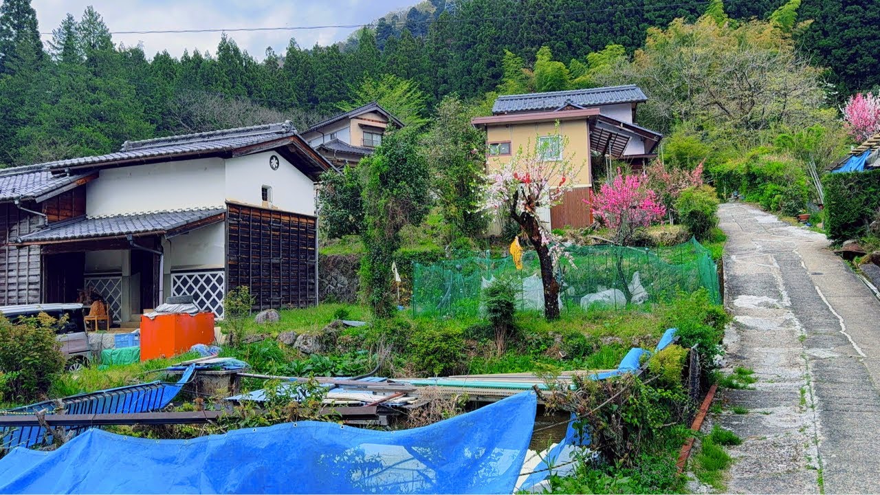 [4K HDR 60fps] Walking tour Japanese Countryside Village Beautiful Scenery of Japan