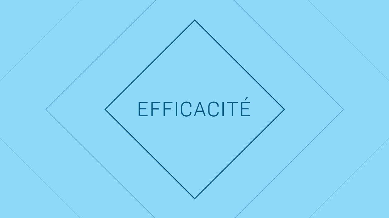 Faits saillants 2016 SNC-Lavalin - EFFICACIT&Eacute;