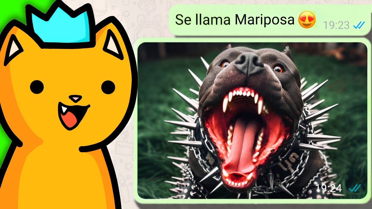 ADOPTA UN PERRO 😍 (Conversaciónes Randoms en WhatsApp)