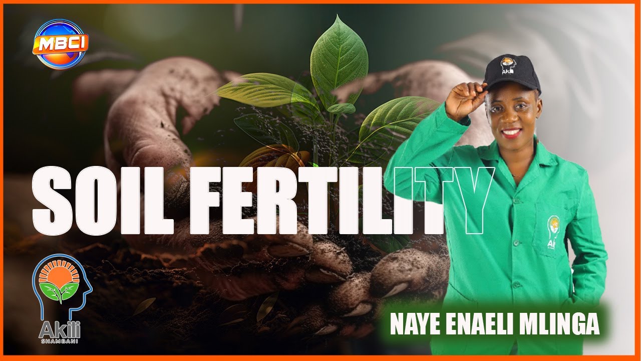 SOIL FERTILITY [ PART 2 ] || AKILI SHAMBANI