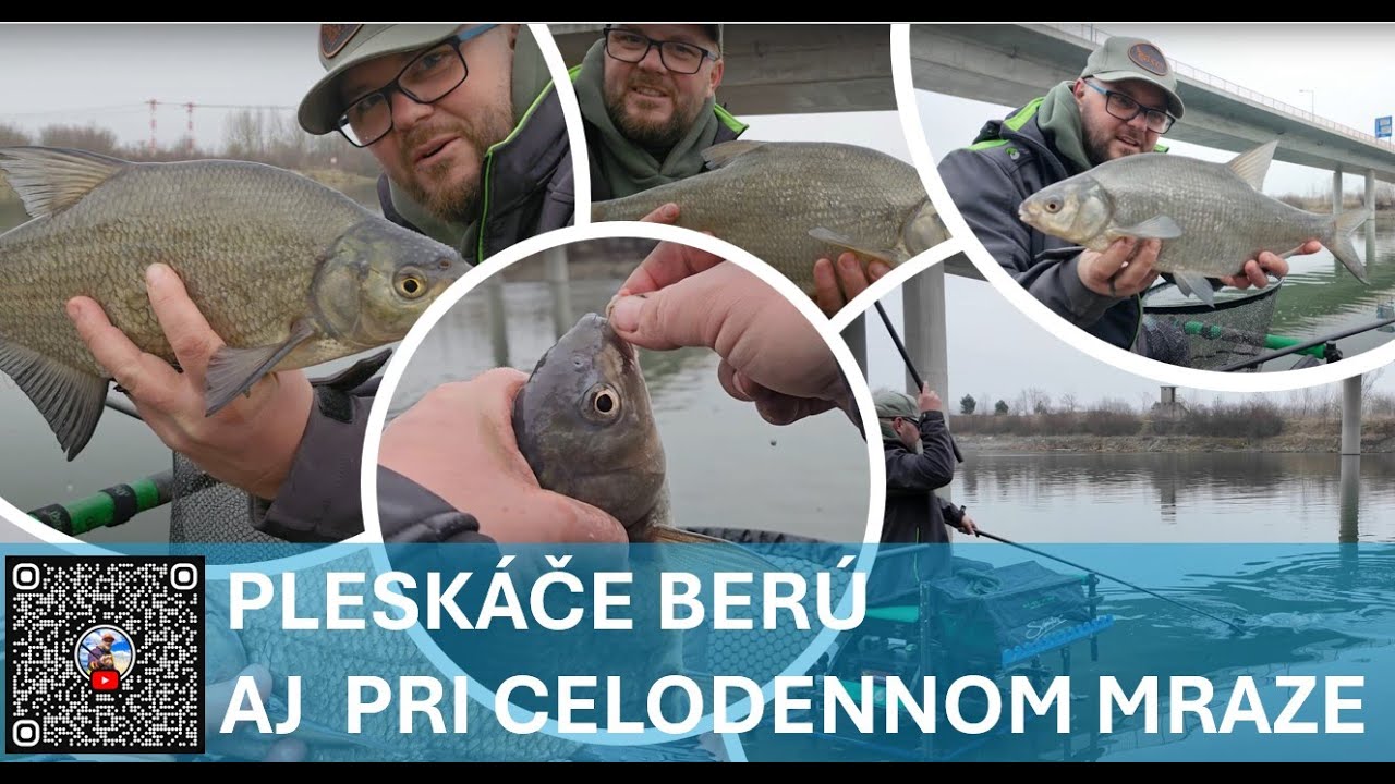 PLESKÁČE BERÚ AJ PRI CELODENNOM MRAZE !