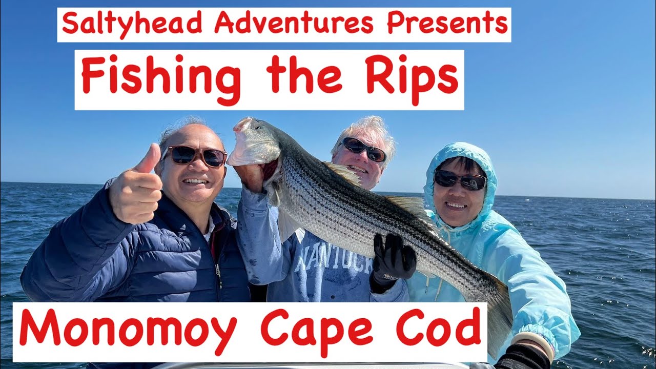 Fishing the Rips on Monomoy Cape Cod with Saltyhead