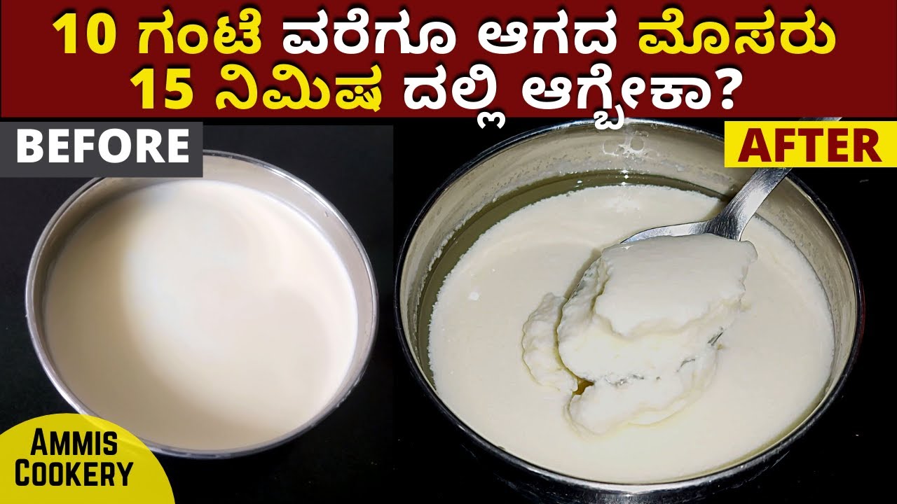 ಚಳಿಗಾಲದಲ್ಲೂ ಗಟ್ಟಿ ಮೊಸರು ಮಾಡುವ 1 ಸೂಪರ್​ ಟಿಪ್ಸ್​ ಯಾರು ಹೇಳಿರಲ್ಲ|how to make thick curd in winter season