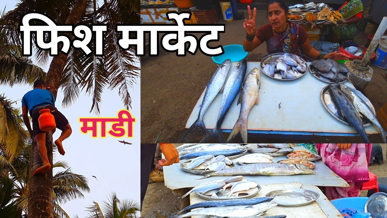 फिश मार्केट || FISH MARKET MURUD JANJIRA || मुरुड मासळी बाजार || माडी कशी काढतात?