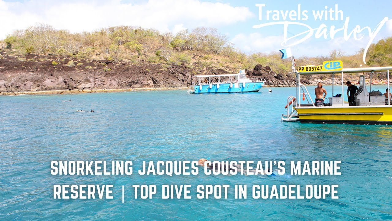 Snorkeling Jacques Cousteau&rsquo;s Marine Reserve | Top Dive Spot in Guadeloupe