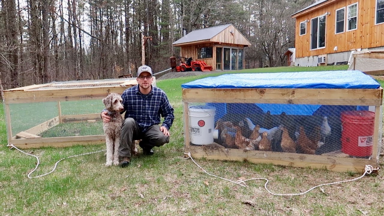 Building A FLOCK of $30 Chicken Coops
