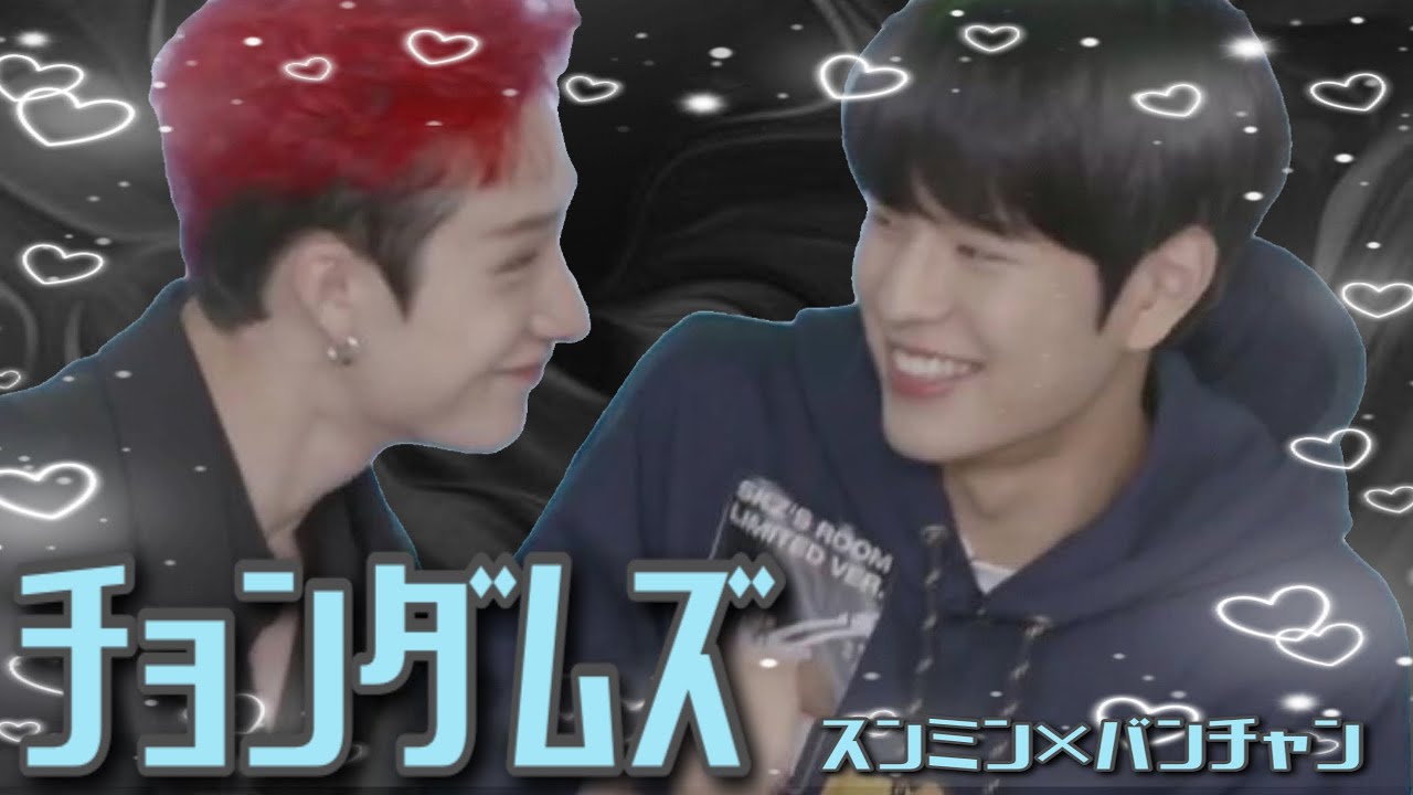 究極のツンデレケミチョンダムズ🐶🐺を見ていってください【straykids/スンミン/バンチャン/チョンダムズ/大型犬ズ】