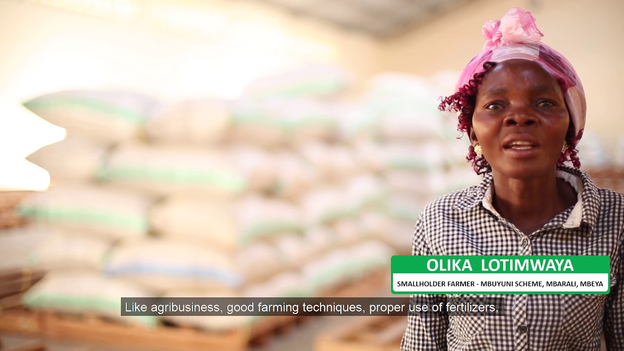 Rice farmers in Tanzania increased their income