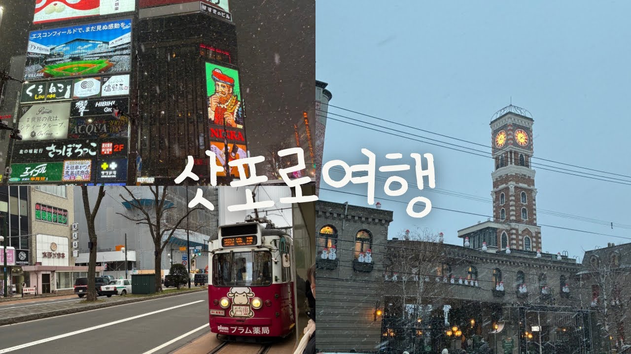 눈왕창 내리던 삿포로 브이로그 🇯🇵 올 겨울 눈 다봄! 시로이코이비토파크/라멘신겐/스스키노/사이제리아/스프카레