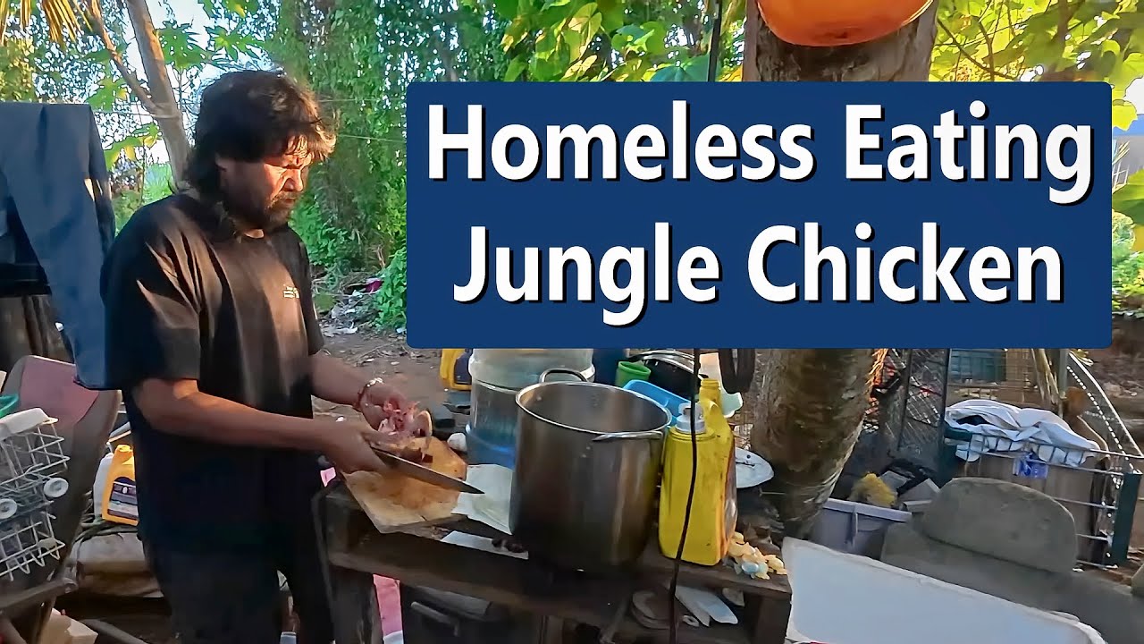 Homeless On Guam USA  - Wild Chicken Dinner