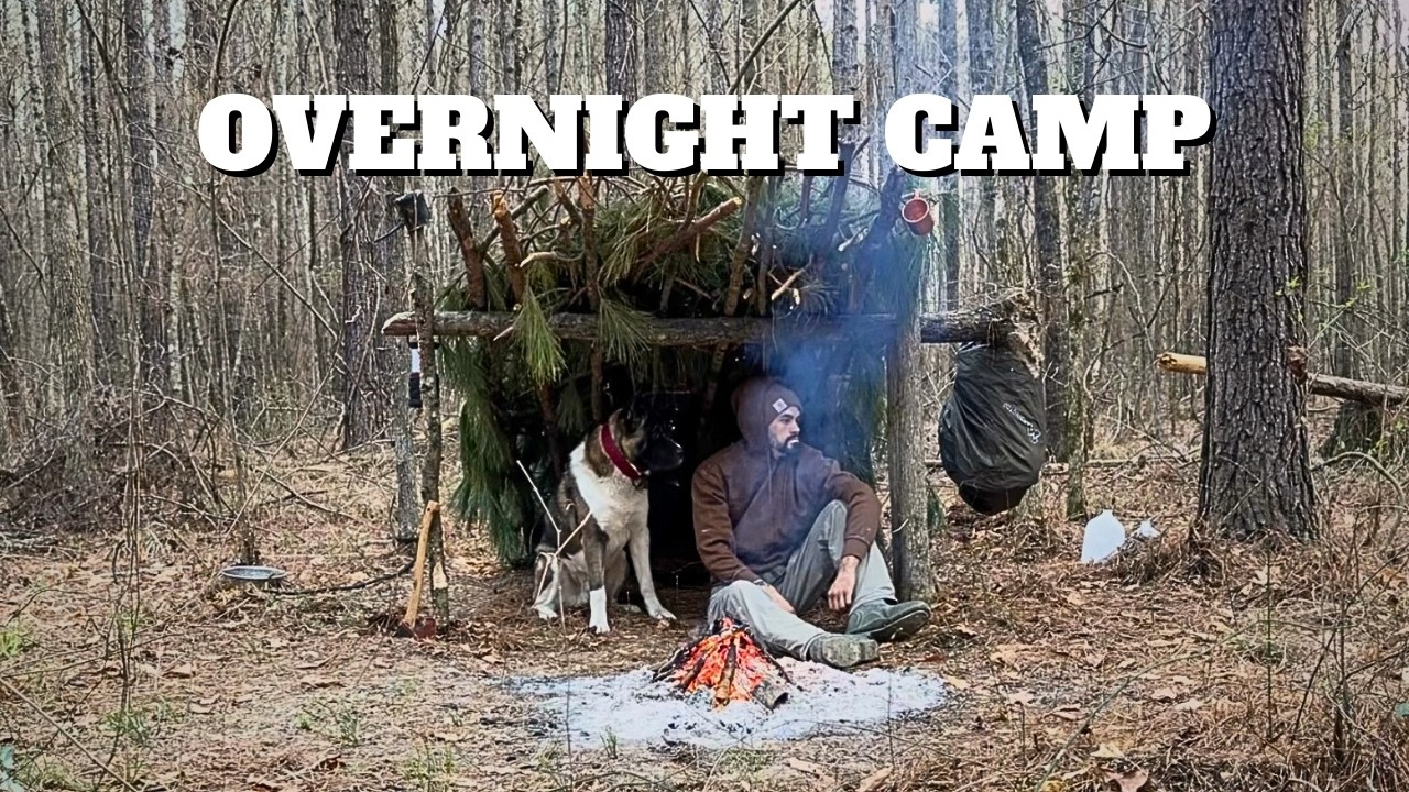 Overnight Shelter Test | PrimitiveWil EP:14