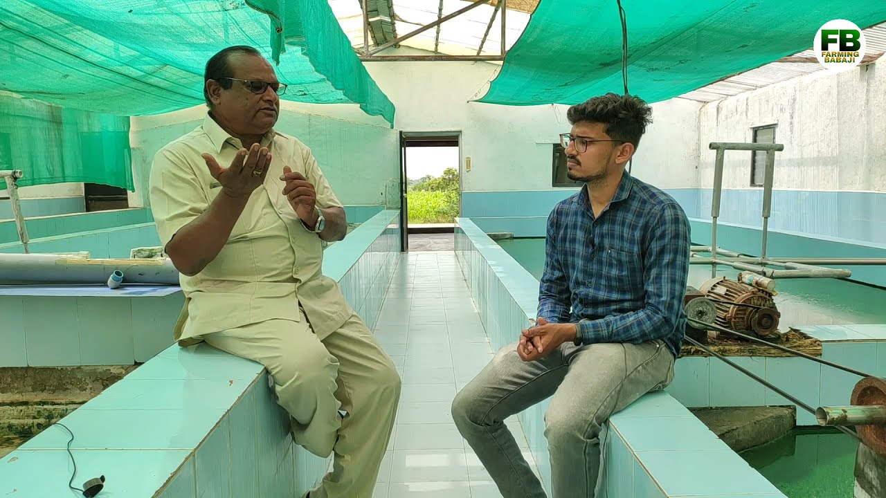 1 गुंठ्यात स्पिरुलिनाची शेती करून घरबसल्या लाखोंची कमाई | spirulina farming in marathi