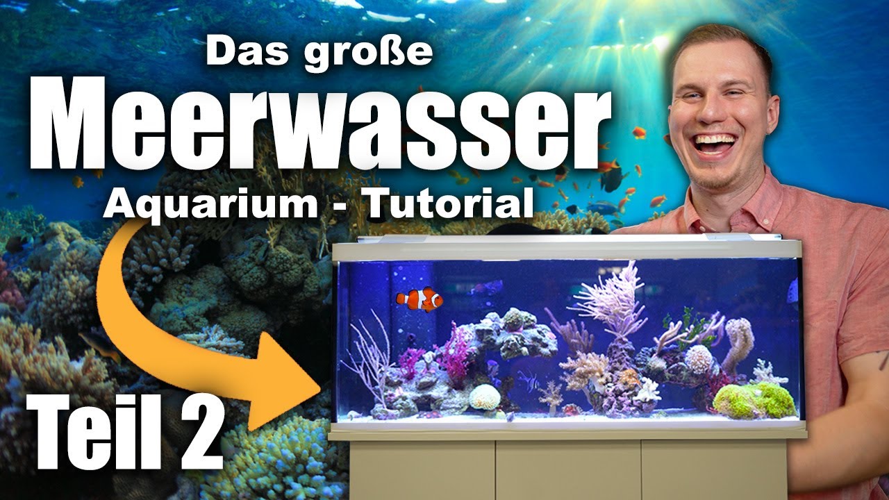 Das Meerwasseraquarium TUTORIAL (Teil 2) - Fische, Wasserwerte, Dosierung... *LOW-BUDGET*