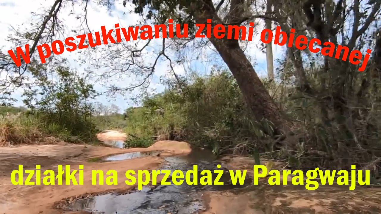 W poszukiwaniu ziemi obiecanej odc.1 … czyli tereny na sprzedaż w Paragwaju #Paragwaj #nieruchomości