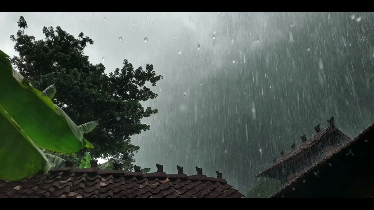 1 Hour of Gentle Rain Sounds for Deep Sleep and Relaxation