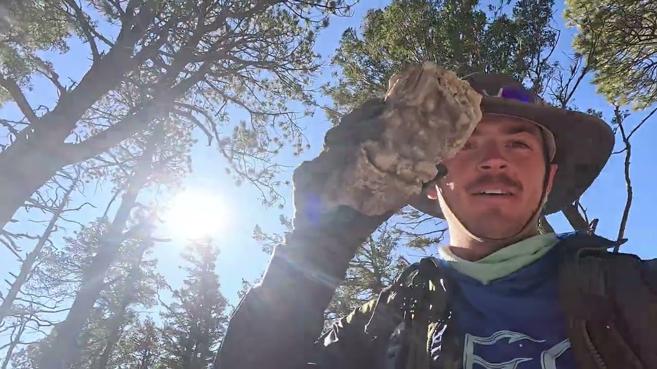 Fly Peak via Crest Trail No. 270 (Chiricahua Wilderness)