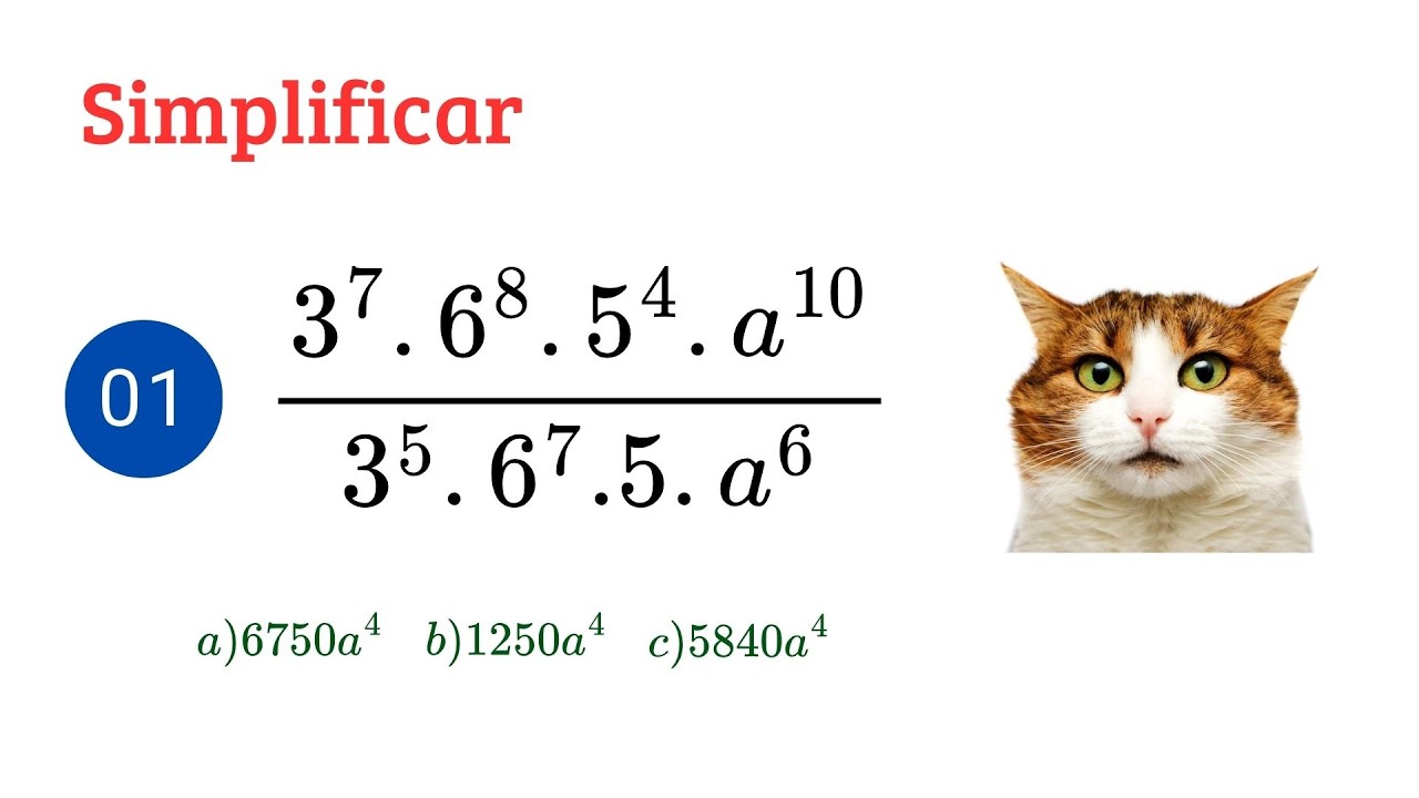 Simplificar 😲 - CLASE 14