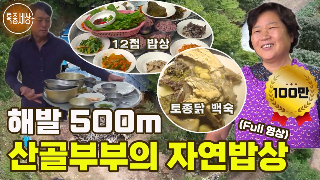 [특종세상] 해발 500m, 산골부부의 자연밥상 [Full영상]